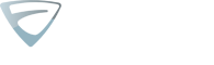 Vision
