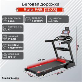 Беговая дорожка Sole F65 (2023), фото 