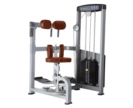 Торс-машина (КОРИЧНЕВЫЙ) BRONZE GYM D-011, фото 